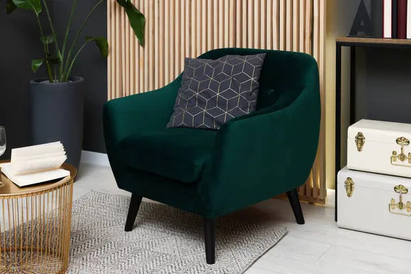 Comfortable armchair in living room. Interior design
