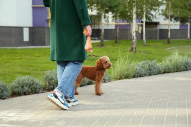 Çöp torbalı bir kadın sevimli köpeğini parkta gezdiriyor, yakın plan.