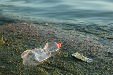 Plajda suyun yanında plastik şişe kullanılmış, mesaj için yer var. Çevre kirliliği