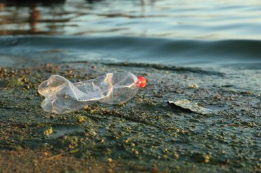 Plajda suyun yanında plastik şişe kullanılmış, mesaj için yer var. Çevre kirliliği
