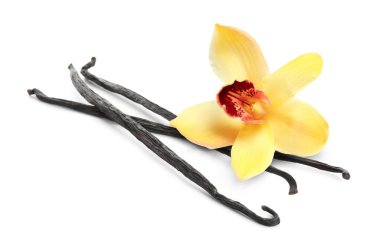 Vanilya kabukları ve sarı çiçek beyaza izole edilmiş