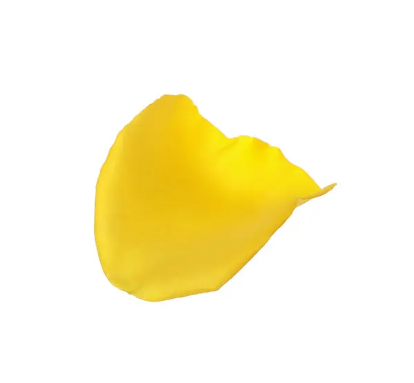 Güzel Sarı Gül Yaprağı Beyaza Izole Edilmiş — Stok fotoğraf