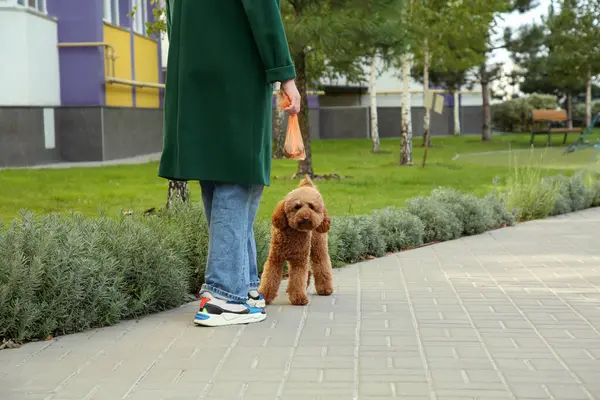 Woman Waste Bag Walking Her Cute Dog Park Closeup — Stock Photo, Image