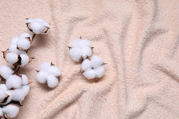 Tüylü çiçekli pamuk dallı bej havlu, üst manzara. Metin için boşluk