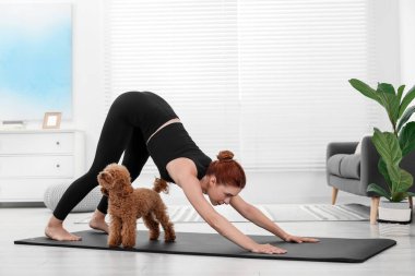 Evde sevimli köpeğiyle yoga yapan genç bir kadın.