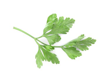 Taze yeşil maydanoz yaprakları beyaz, üst manzara izole