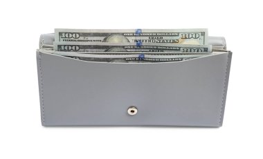 Beyaz arka planda dolar banknotları olan şık açık gri deri çanta.