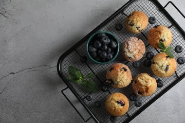 Pudra şekerli lezzetli kekler, yaban mersini ve açık gri masada nane şekeri, üst manzara. Metin için boşluk