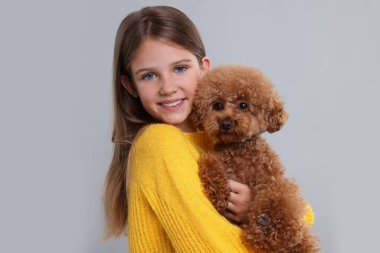 Açık gri arka planda şirin bir köpek yavrusu. Sevimli hayvan