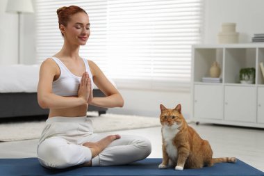 Güzel bir kadın ve sevimli kırmızı kedisi evde yoga yapıyorlar.