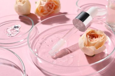 Pipette, kozmetik serumu, çiçekler ve üzerinde pembe arkaplan örnekleri olan petri kapları, yakın plan