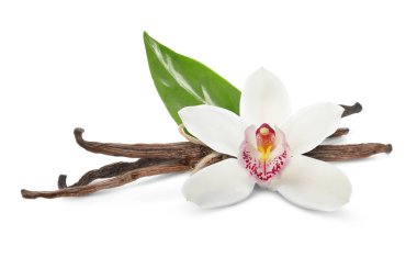 Vanilya kabukları, yeşil yaprak ve beyaz üzerine izole edilmiş güzel çiçek.