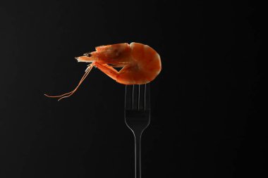 Siyah arka planda bir karidesli çatal.