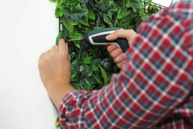 Tornavidalı bir adam beyaz duvara yeşil bitki paneli yerleştiriyor.