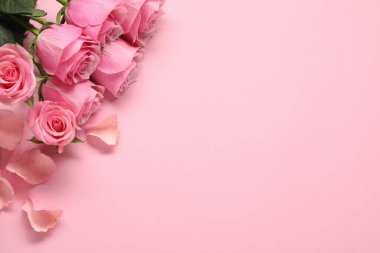 Pembe arka planda güzel güller, üst manzara. Metin için boşluk