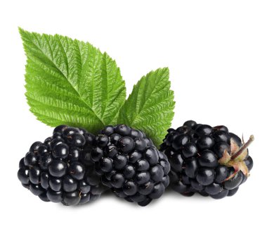 Lezzetli böğürtlen ve yeşil yapraklar beyaz üzerine izole