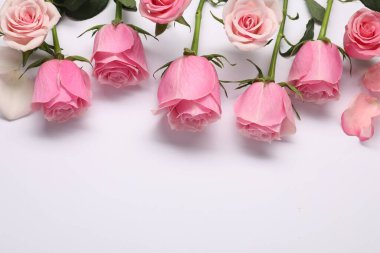 Beyaz arka planda güzel pembe güller, manzaranın üstünde. Metin için boşluk