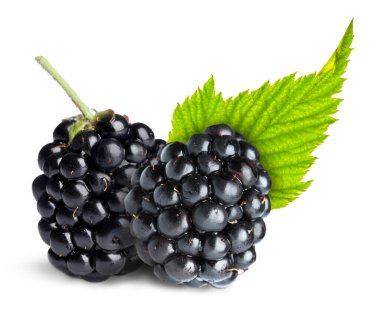 Lezzetli böğürtlen ve yeşil yaprak beyazda izole