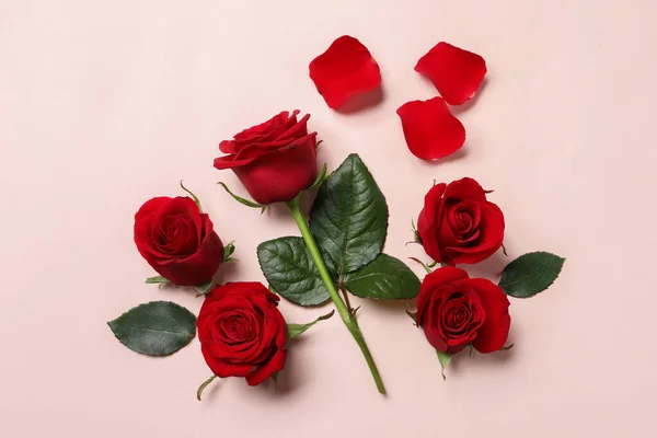 Hermosas Rosas Rojas Pétalos Sobre Fondo Rosa Pálido Plano —  Fotos de Stock