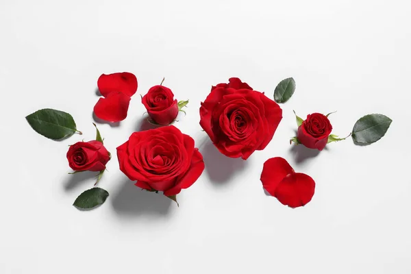Όμορφα Κόκκινα Τριαντάφυλλα Και Πέταλα Λευκό Φόντο Επίπεδη Lay — Φωτογραφία Αρχείου
