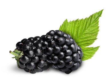 Lezzetli böğürtlen ve yeşil yaprak beyazda izole