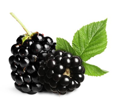 Lezzetli böğürtlen ve yeşil yapraklar beyaz üzerine izole