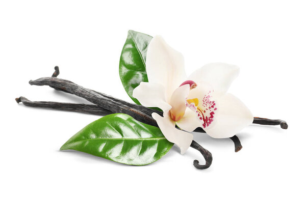 Ванильные стручки, зеленые листья и красивый цветок изолированы на белом