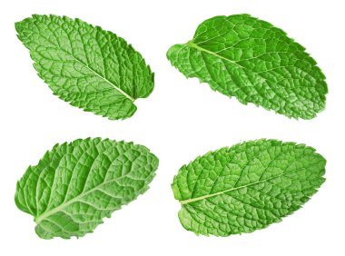 Birçok taze nane yaprağı beyaz üzerine izole edilmiş.