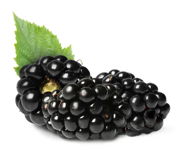 Tasty Ripe Blackberries Green Leaf Isolated White Stock Picture