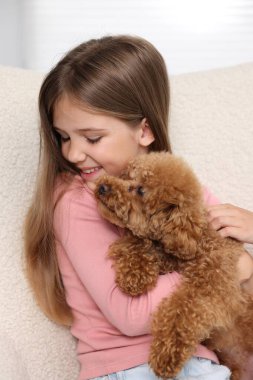 Koltuğunda sevimli bir köpek yavrusu olan küçük bir çocuk. Sevimli hayvan