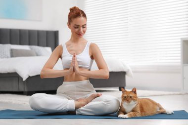 Güzel bir kadın ve sevimli kırmızı kedisi evde yoga yapıyorlar.