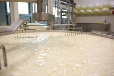 Peynir fabrikasındaki akvaryumda kaymak ve süt, yakın plan.