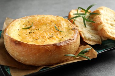 Lezzetli peynirli tabak, gri masada ekmek ve biberiye, yakın plan.