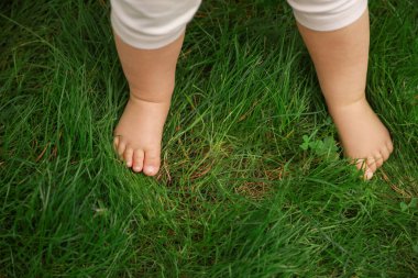 Küçük çocuk yeşil çimlerde yürüyor, yakından.