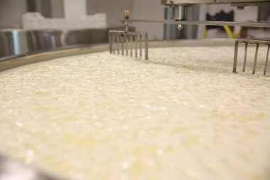 Peynir fabrikasındaki akvaryumda kaymak ve süt, yakın plan.