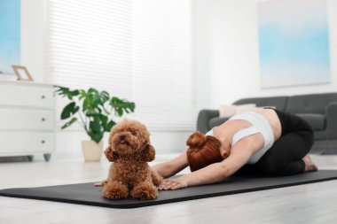 Evde sevimli köpeğiyle yoga yapan genç bir kadın, seçici bir odak noktası.