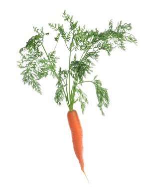 Tasty ripe organic carrot isolated on white
