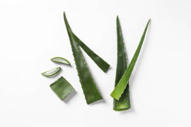 Beyaz arkaplanda aloe vera bitkisini kes, düz yat