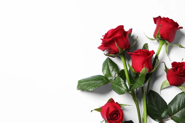 Όμορφα Κόκκινα Τριαντάφυλλα Λευκό Φόντο Κορυφαία Θέα Χώρος Για Κείμενο — Φωτογραφία Αρχείου