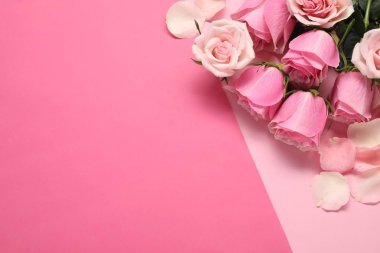 Pembe arka planda güzel güller ve yapraklar, üst manzara. Metin için boşluk