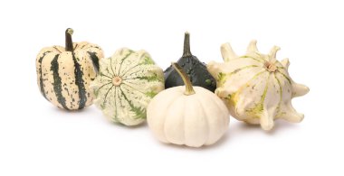 Farklı olgun balkabakları beyaza izole edilmiş.