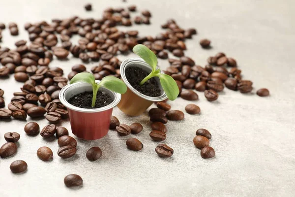 Coffee capsules with seedlings and beans on light grey table, closeup. Space for text