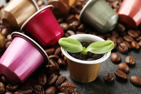 Coffee capsules with seedling and beans on black table, closeup