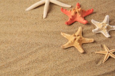 Kum üzerinde güzel deniz yıldızları, metin için yer