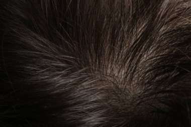 Sağlıklı koyu saçlı, makro manzaralı bir adam.