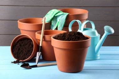 Açık mavi ahşap masa üzerinde toprak ve bahçe aletleri ile birçok terracotta saksısı