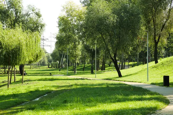 Güneşli bir günde yeşil ağaçlı ve patikalı sessiz bir park.