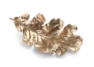 Beyaza izole edilmiş bir altın meşe yaprağı. Sonbahar mevsimi