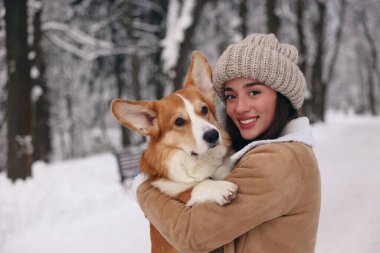 Parkta sevimli Pembroke Galli Corgi köpeği olan bir kadın.