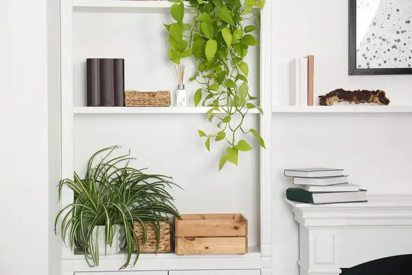 White shelving unit with houseplants and different decor elements in room. Interior design
